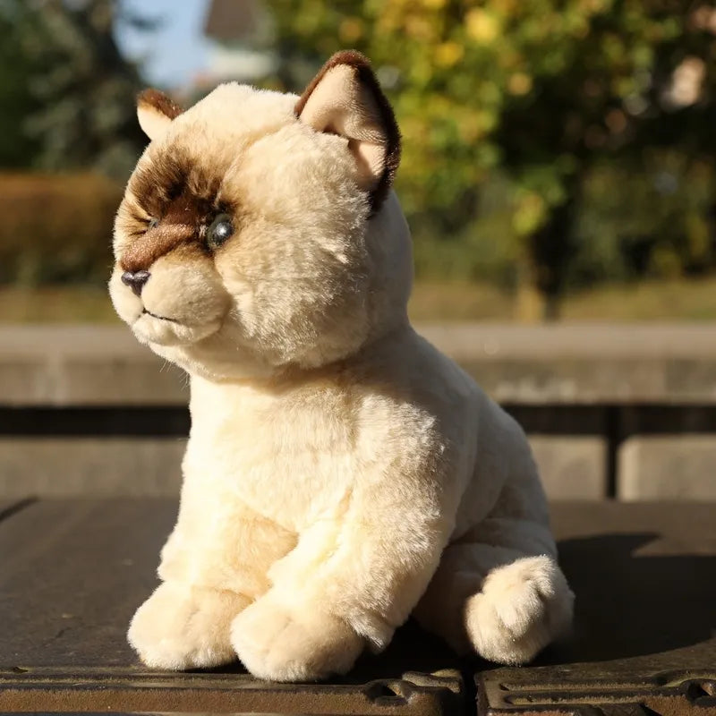 Rappa - Pliušinis realistiškas žaislas Ragdoll katė sėdinti 23 cm Eco-Friendly Soft Collection