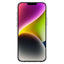 Rifle Paper Clear – dėklas iPhone 14 Plus telefonui (Willow)