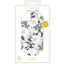 Rifle Paper Clear – dėklas iPhone 14 Plus telefonui (Willow)
