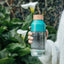 Quokka Ice – Ecozen gertuvė 570 ml (pušies žalia)