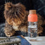 Quokka Ice – „Ecozen“ vandens butelis 720 ml (Birds)