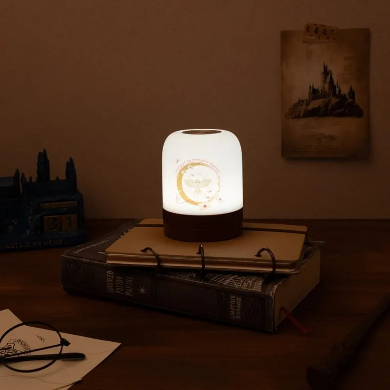 Harry Potter – belaidė USB-C LED naktinė lemputė vaikams su reguliuojamu ryškumu