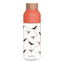 Quokka Ice – „Ecozen“ vandens butelis 720 ml (Birds)