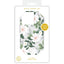 Rifle Paper Clear – dėklas iPhone 14 Pro (Willow)