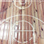 Nexgen lipdukai su 3D efektu, skirti iPad 2/3/4 (Hardwood Classic 3D)