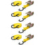 Dunlop - Transportavimo diržai su įtempikliu 4 vnt. 5m / 350 kg
