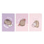 Pusheen – A5 formato užrašinių rinkinys iš „Moments“ kolekcijos, 3 vnt.
