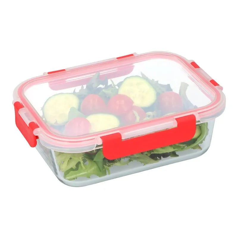 Alpina – stiklinis maisto indas su dangteliu, pietų dėžutė 21x16x6 cm, 1 l