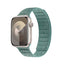 Crong Melange – magnetinis dirželis Apple Watch 38/40/41/42 mm (turkio spalvos melanžas)