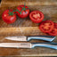 ALPINA universalus ir skutimo peiliai, 20/24 cm 871125287007